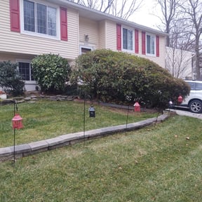 Bush Trimming by Top Quality Lawn Care reviewed on August 21, 2025