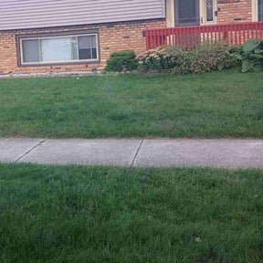 Bush Trimming by Pats lawn care reviewed on October 1, 2024