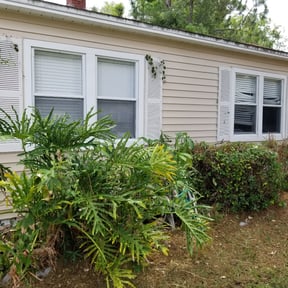 Bush Trimming by Garrett Family Lawn &amp;  Landscape reviewed on August 21, 2025