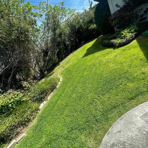 lawn service by My self reviewed on March 25, 2025