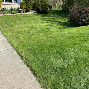 gardening service by Aplus Home Helpers reviewed on August 17, 2025