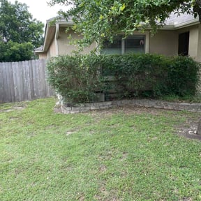 Bush Trimming by Grumps Lawncare reviewed on August 15, 2025