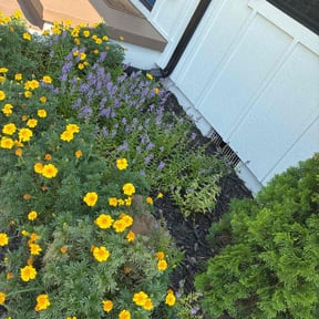 Flower Bed Weeding by CM Lawn Care LLC reviewed on October 18, 2025
