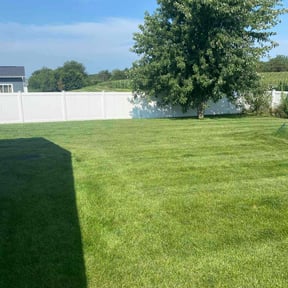 yard service by Shortys handyman lawn and snow removal reviewed on November 20, 2025