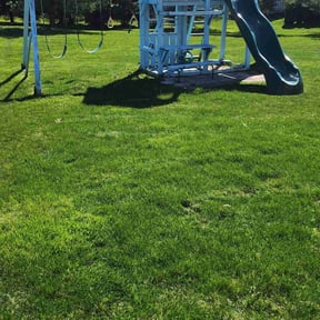 landscape maintenance by Fresh cut reviewed on June 4, 2025