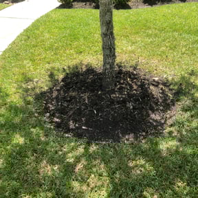 Flower Bed Weeding by Field of Green lawn and Landscape reviewed on August 17, 2025