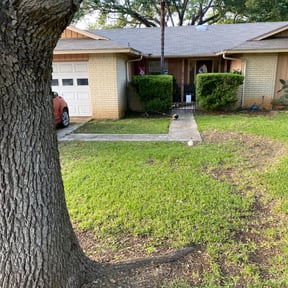 Bush Trimming by Stephenson's Landscaping reviewed on August 19, 2025