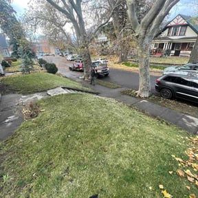 Leaf Removal by Grass hopper reviewed on November 18, 2025