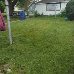 lawn service by Manicured Lawns reviewed on October 10, 2019