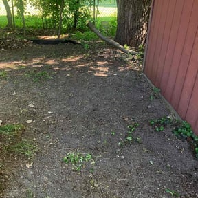 Leaf Removal by Fresh Cut Lawn Care &amp; Property Services, LLC reviewed on September 21, 2025