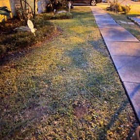 Leaf Removal by Perez Landscaping reviewed on August 18, 2026