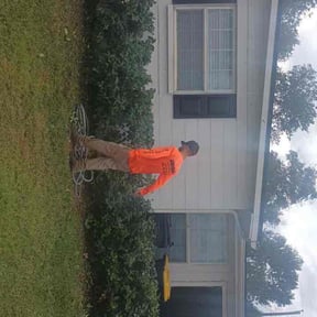 Bush Trimming by Go Green Electric Lawncare reviewed on August 20, 2025