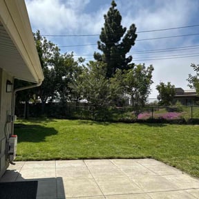 Cleanups by Hands On 918 Lawn Care reviewed on May 17, 2024