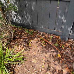 Flower Bed Weeding by First point lawn reviewed on June 21, 2026
