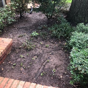 Leaf Removal by Electric Cut Lawn Care LLC reviewed on October 3, 2025