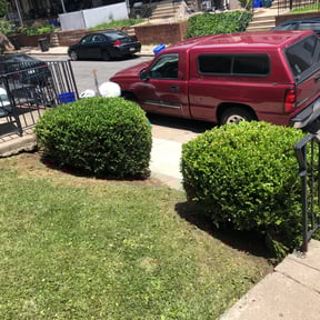 Bush Trimming by Sons bros and I lawn service reviewed on August 19, 2025