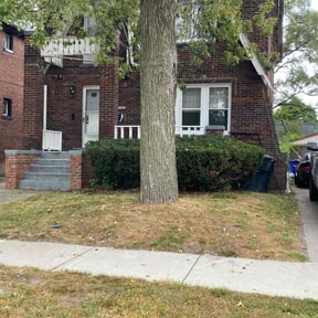 Bush Trimming by R&amp;N services reviewed on November 23, 2025