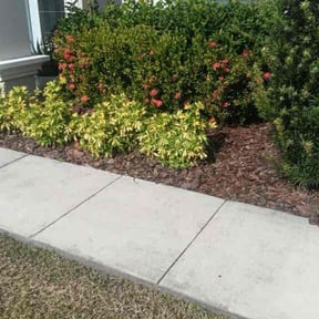 Lawn Mowing by  reviewed on July 22, 2025