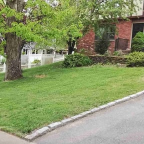 yard care by Choice Specialties LLC reviewed on August 16, 2025