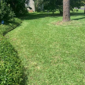 yard care by Carters Lawn Care Services reviewed on August 15, 2025