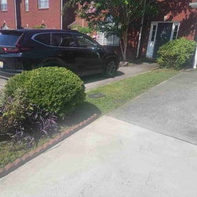 Bush Trimming by Rouse Curb Appeal reviewed on August 20, 2025