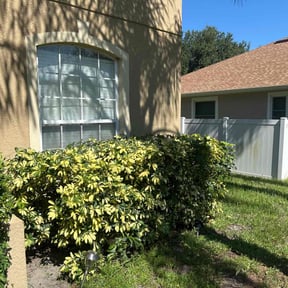 Bush Trimming by Nycstro LLC reviewed on November 19, 2025