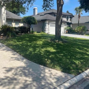 yard work by TOMS - Total Outdoor Maintenance reviewed on August 15, 2025