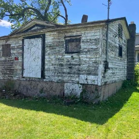 Bush Trimming by Power T Properties reviewed on June 4, 2026