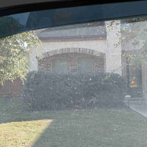 Bush Trimming by Brooks Lawn care services reviewed on January 16, 2026