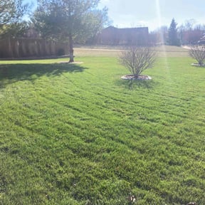 Leaf Removal by Robert Bond Sr  reviewed on August 16, 2025