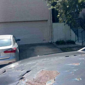 Bush Trimming by 4 You Landscaping LLC reviewed on August 21, 2025