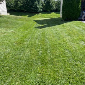 landscaping by Kane & Associates, LLC. reviewed on August 18, 2025