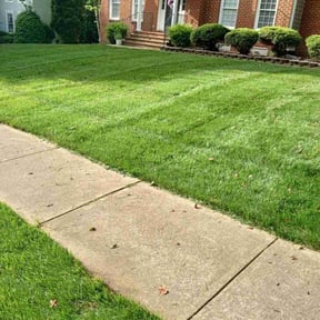 grass maintenance by Clear landscapes llc reviewed on October 28, 2023