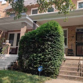 Bush Trimming by B&amp;J Lawn and Homecare reviewed on October 22, 2025