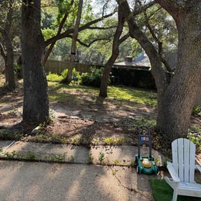 Leaf Removal by Turf Dasher reviewed on June 17, 2026