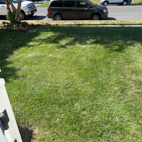 landscape maintenance by Cooper’s Lawn & Landscape LLC reviewed on September 20, 2025