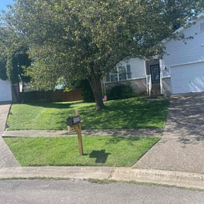 yard service by Lawn Hub reviewed on September 8, 2025