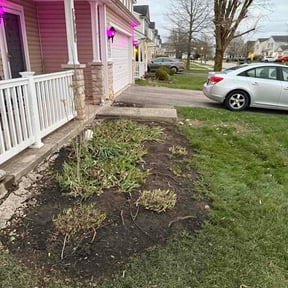 Flower Bed Weeding by Pitchfork Landscaping reviewed on April 27, 2026