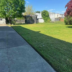 turf care by KCT Landscaping  reviewed on August 14, 2024