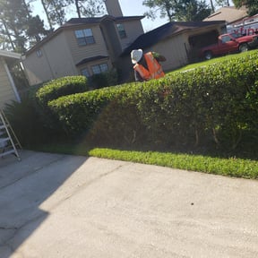 Bush Trimming by Trendy Lawn Care LLC reviewed on August 17, 2025