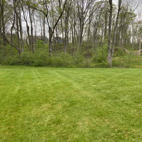 yard maintenance by Alan Lawnmowing Business reviewed on August 21, 2025