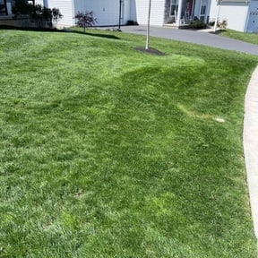 residential landscaping by Fortanel lanscaping reviewed on August 19, 2025