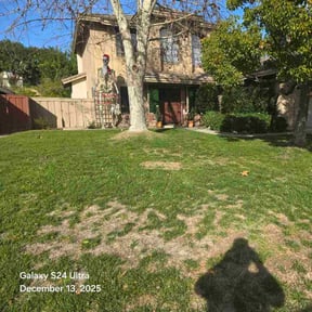 Leaf Removal by Green Thumb Lawn Care reviewed on December 31, 2025