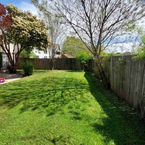 grass cutting by Parks Lawn & Landscaping LLC reviewed on August 13, 2025