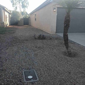 Bush Trimming by ShayShay&#039;s lawn care reviewed on November 22, 2025