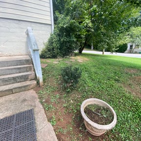Bush Trimming by PLM reviewed on August 15, 2025