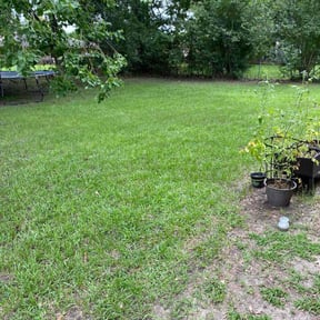 yard service by Arose landscaping reviewed on August 16, 2025