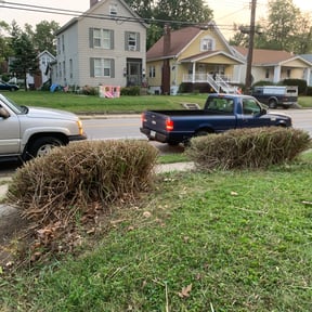 Bush Trimming by Rhoyalty Lawn Care, LLC reviewed on August 18, 2025