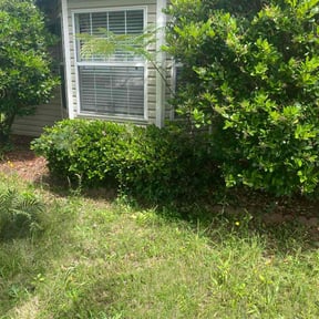 Bush Trimming by Denton Lawn Care reviewed on August 17, 2025