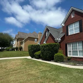 Bush Trimming by D’s Landscaping reviewed on October 23, 2025